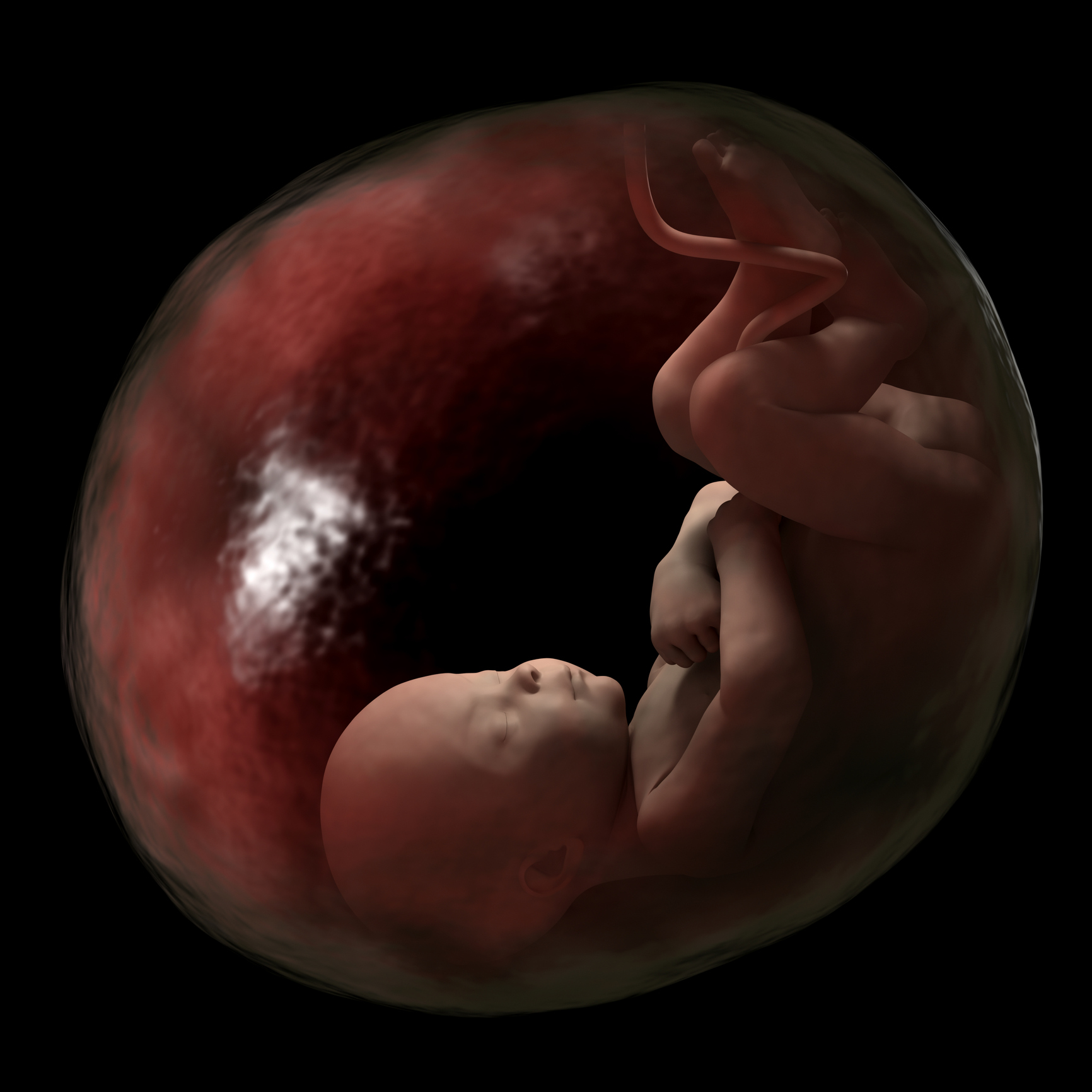 Эмбрион в утробе матери